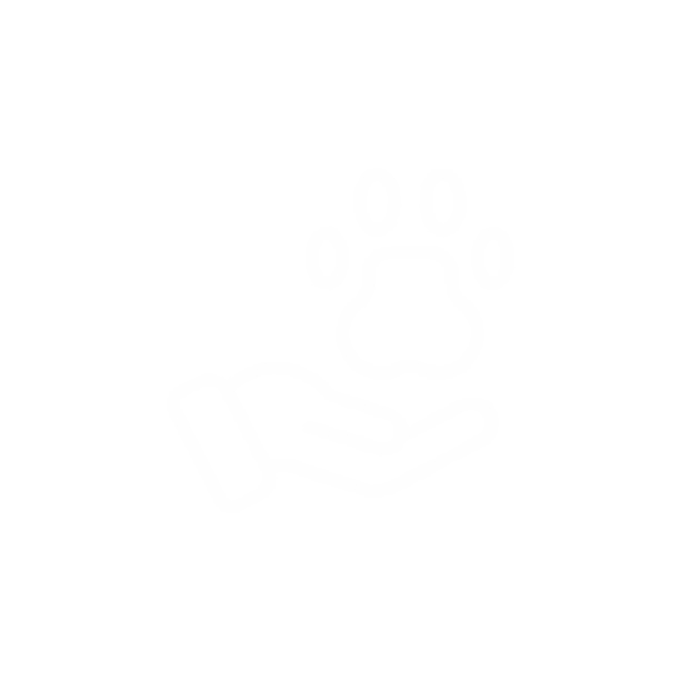 Pet Care